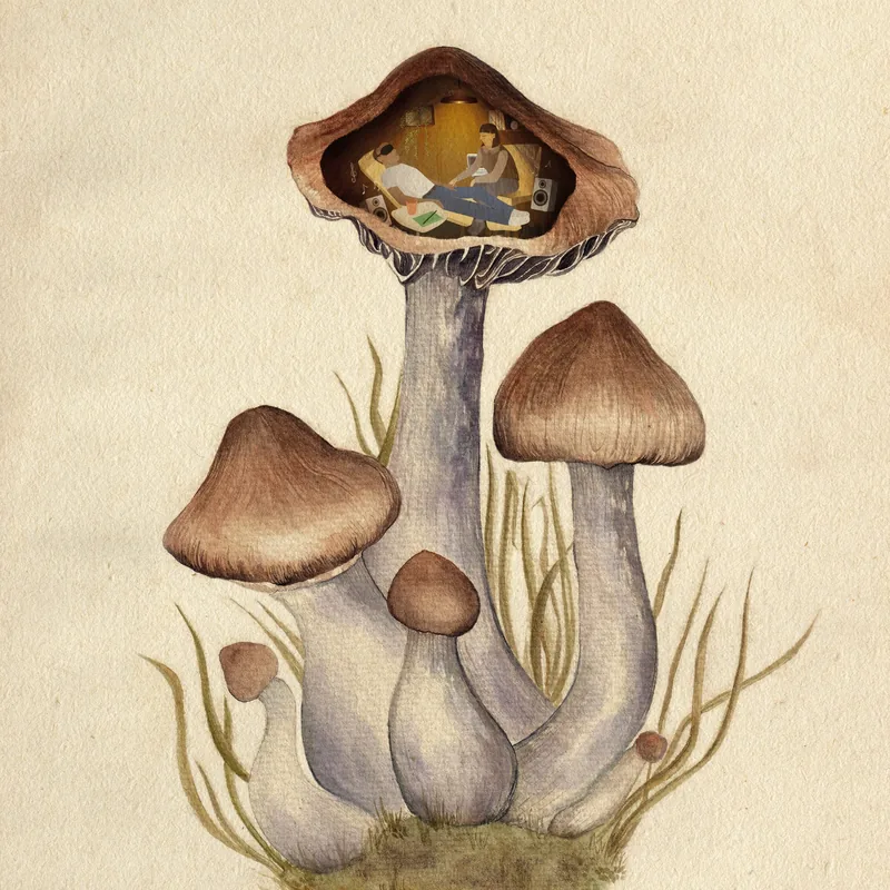 Watercolour mushrooms